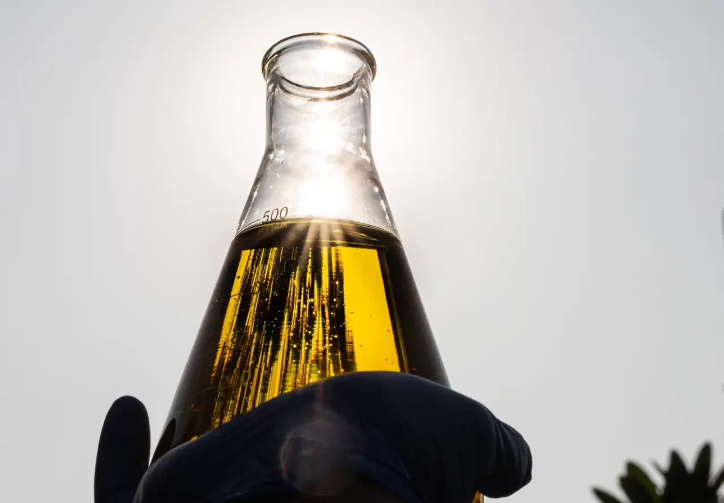 Silhouette of hand with gloves holding beaker with ethanol biofuel against blue sky Silhouette of hand with gloves holding beaker with ethanol biofuel against blue sky, observing its purity.